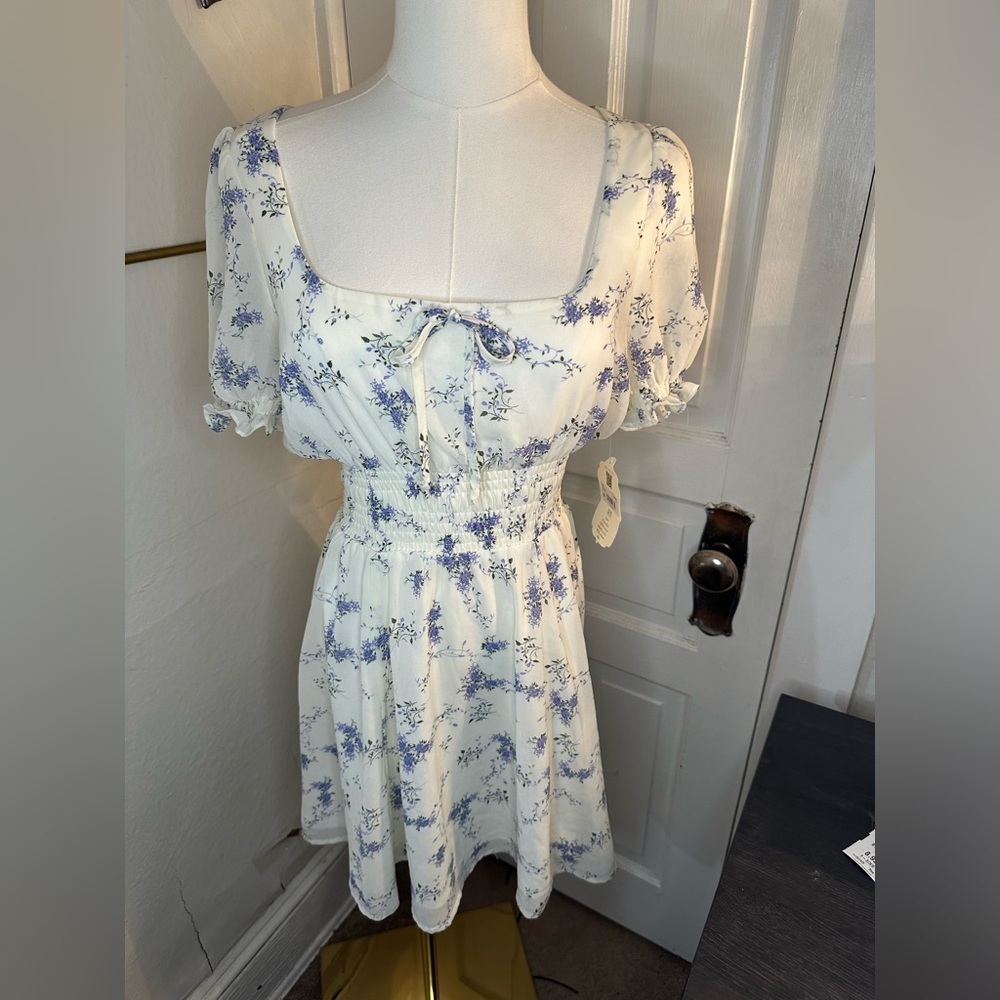 Altar'd State Cream and Blue Floral Mini Dress